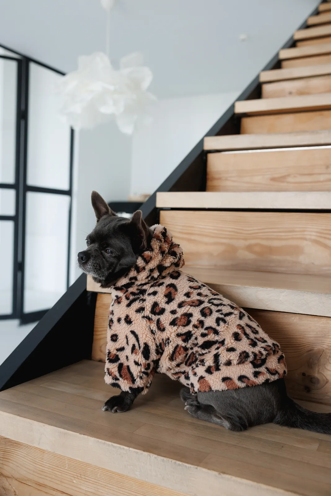 Толстовка Pet Fashion Push для собак XXS — фото 5