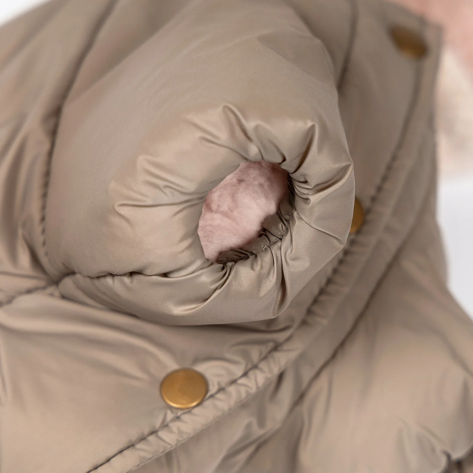 Комбінезон Pet Fashion Flora для собак дівчинка XS — фото 5