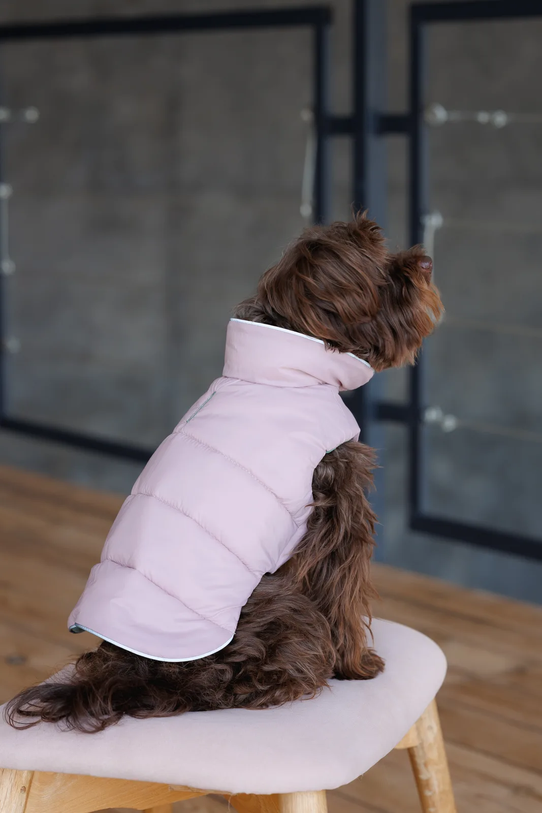 Жилет двобічний Pet Fashion Holiday для собак XS — фото 4