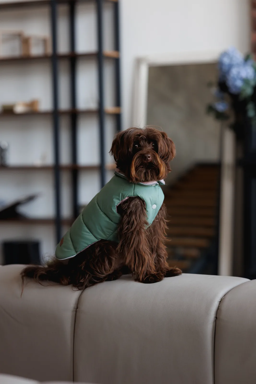 Жилет двобічний Pet Fashion Holiday для собак XS — фото 6