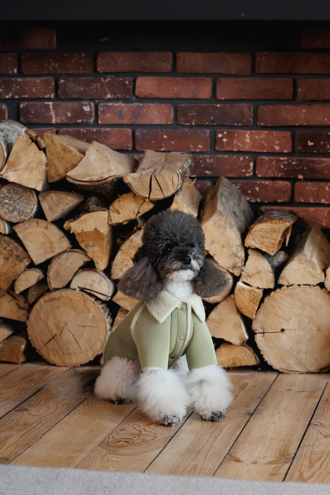 Дублянка Pet Fashion Olive для собак XS — фото 4