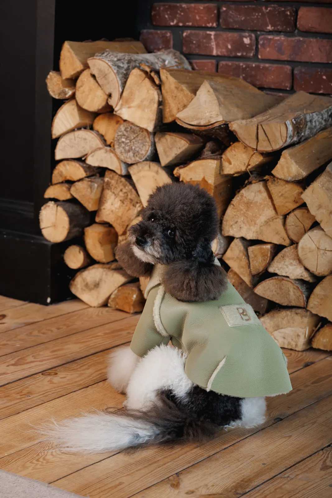 Дублянка Pet Fashion Olive для собак XS — фото 6