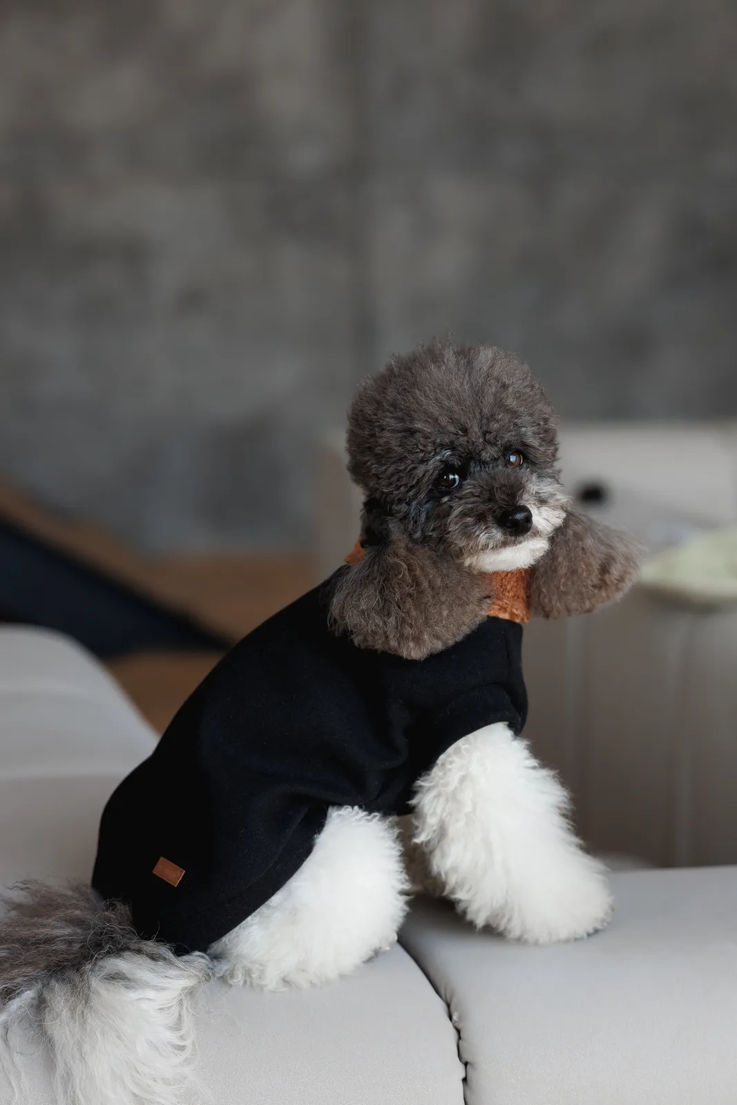 Светр Pet Fashion Mood для собак XXS — фото 4