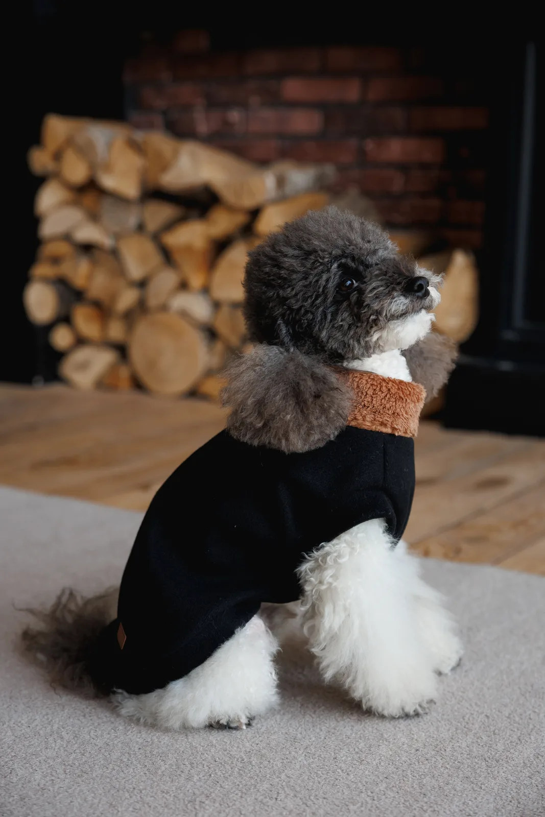 Светр Pet Fashion Mood для собак XS2 — фото 5