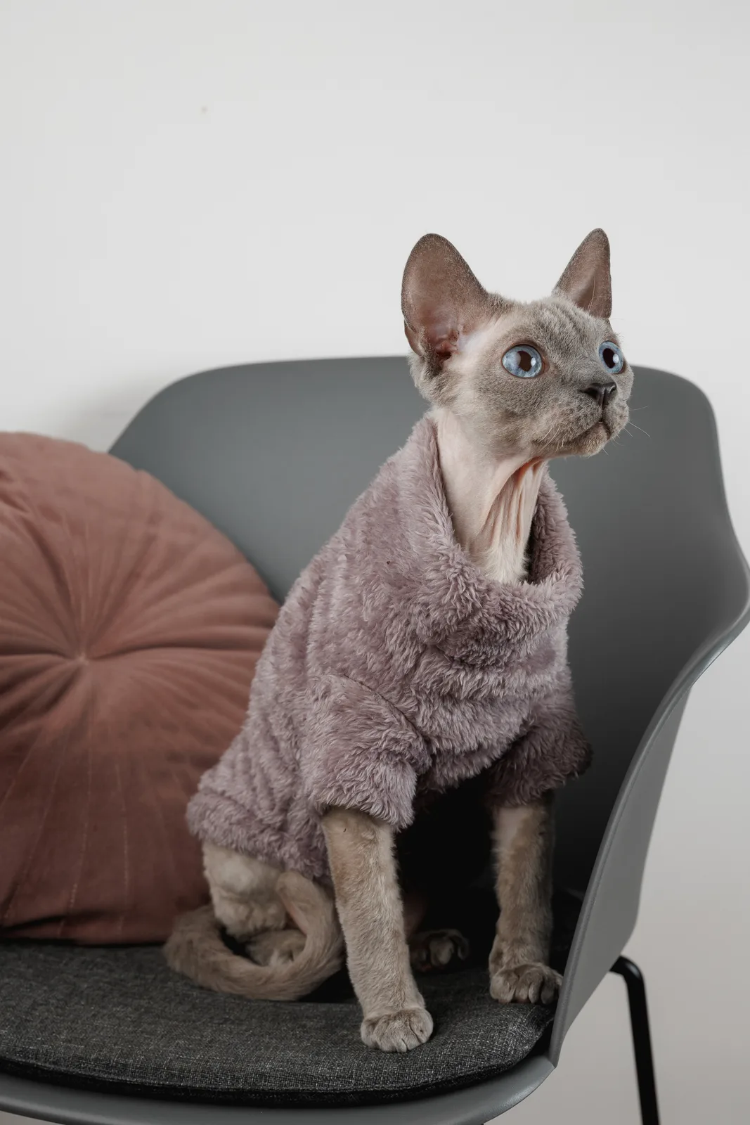 Светр для кота Pet Fashion Tim XS сірий — фото 6