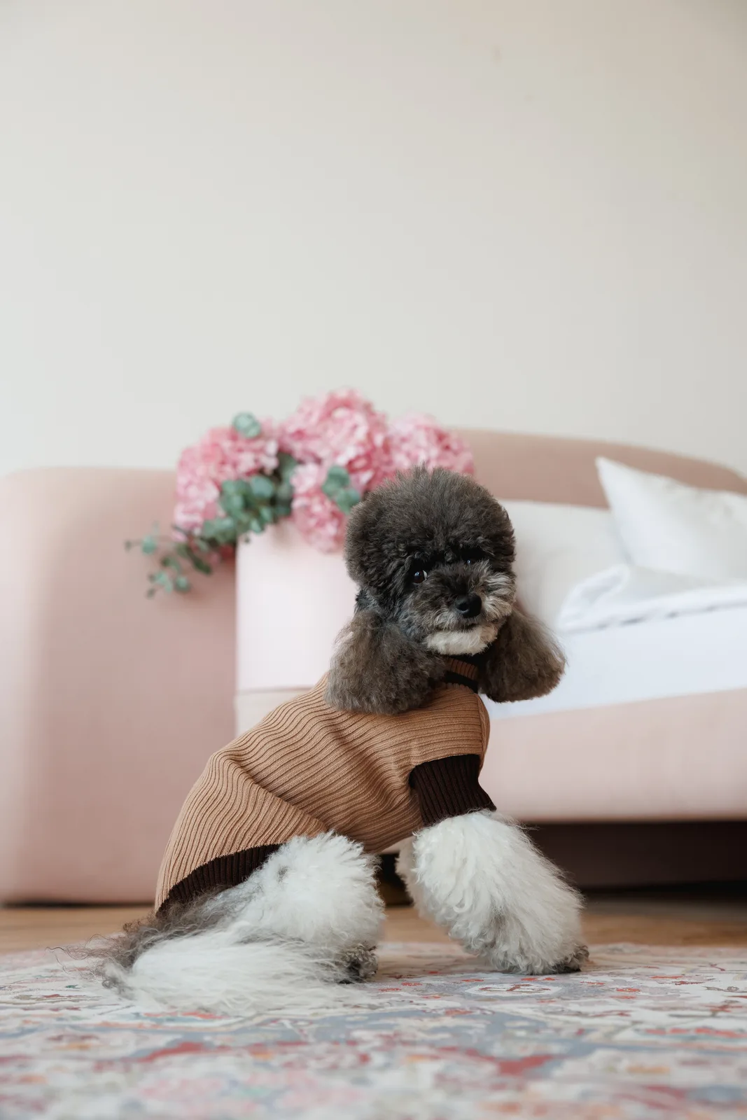 Светр Pet Fashion Rob для собак XXS бежевий — фото 3