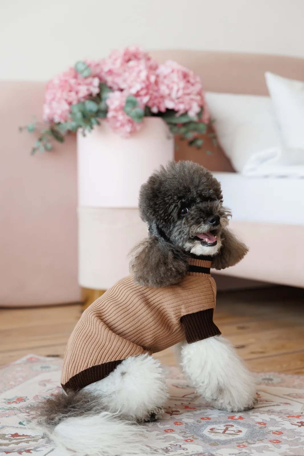 Светр Pet Fashion Rob для собак XXS бежевий — фото 4