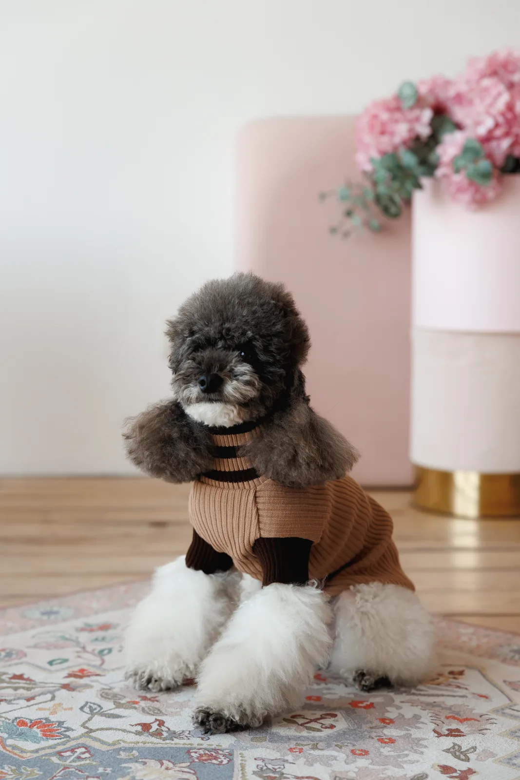 Светр Pet Fashion Rob для собак XXS бежевий — фото 5