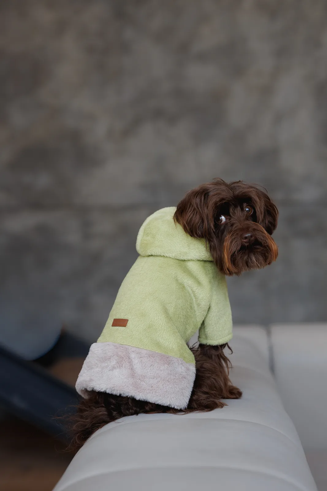 Толстовка Pet Fashion Twist для собак XXS — фото 6