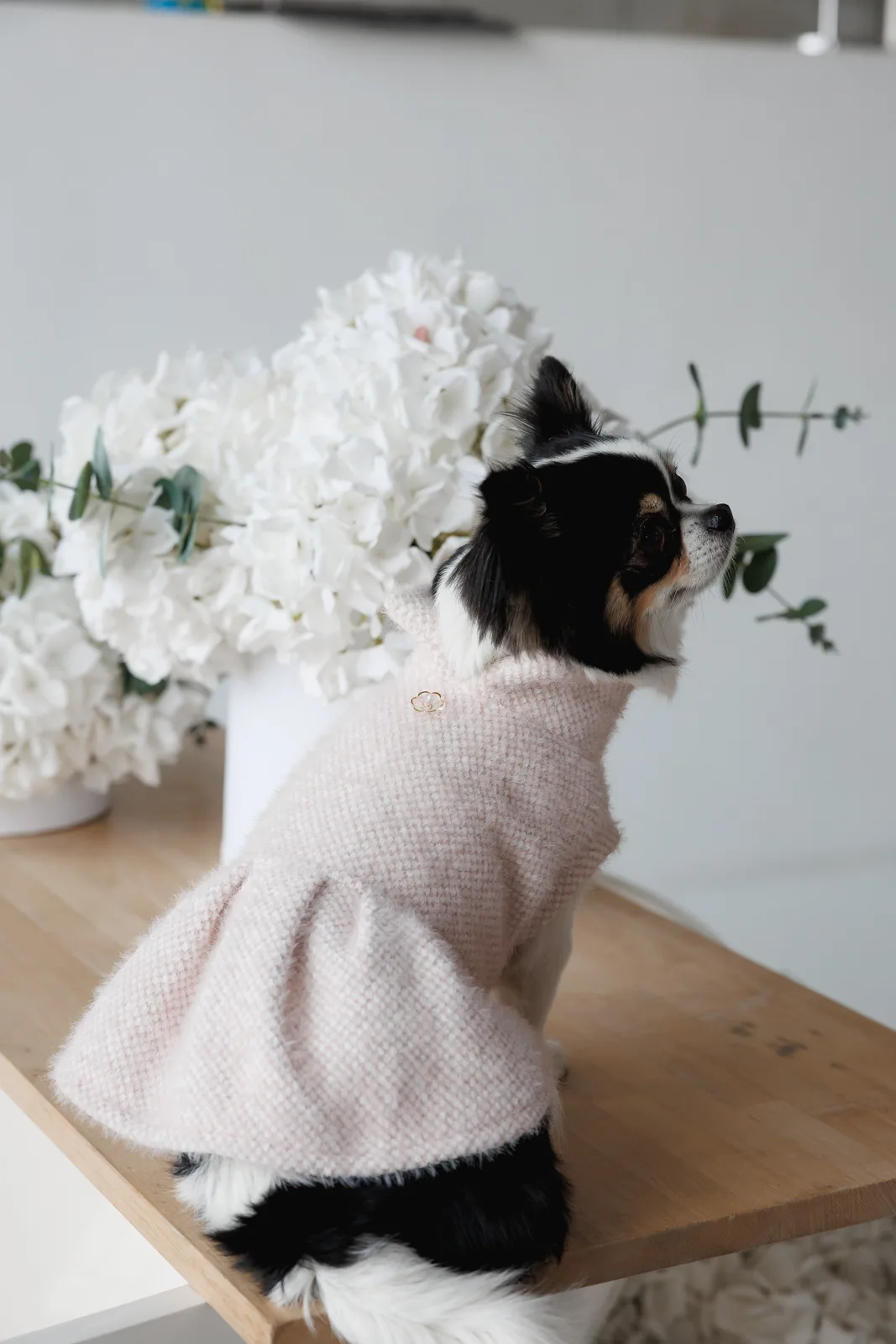 Сукня Pet Fashion Adele для собак XXS — фото 4