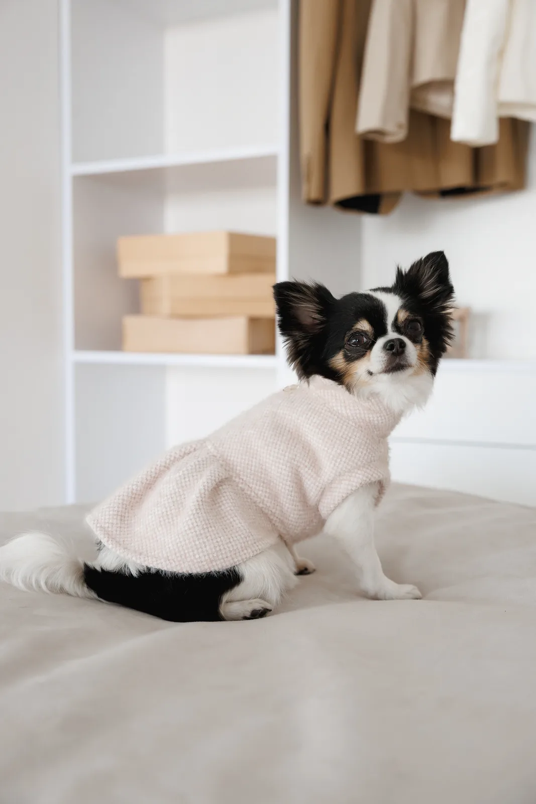 Сукня Pet Fashion Adele для собак XXS — фото 5