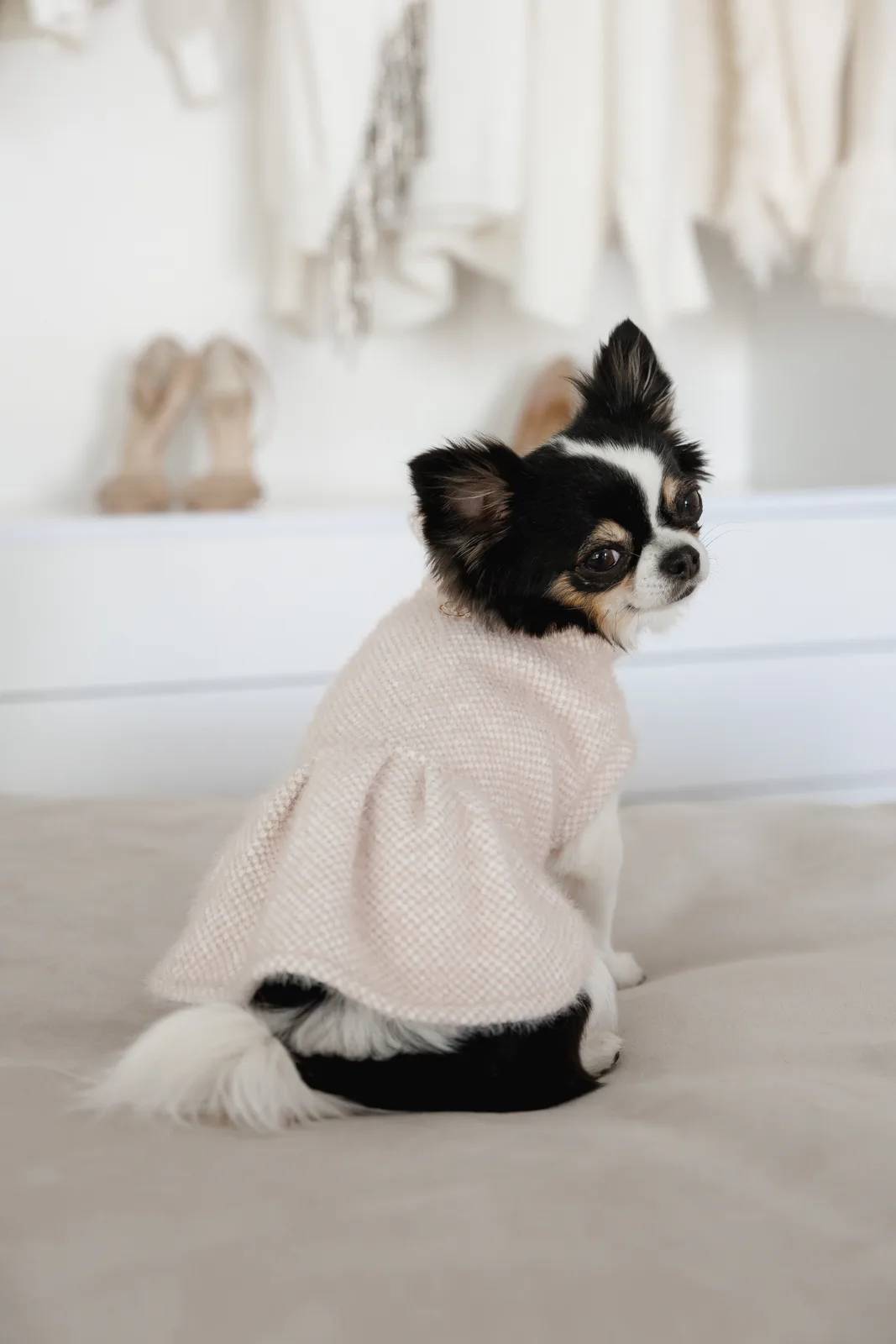 Сукня Pet Fashion Adele для собак XXS — фото 6