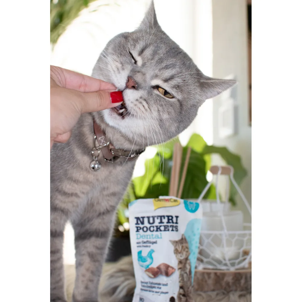 Вітамінні ласощі GimCat Nutri Pockets Dental для котів для зубів 60 г — фото 3
