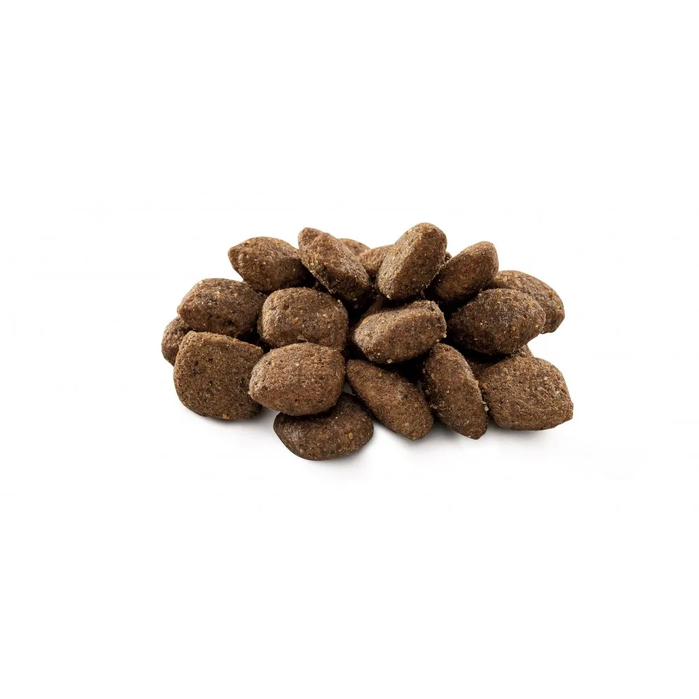 Корм сухий Brit Premium Dog Sensitive Lamb для собак з чутливим травленням з ягням 15 кг — фото 2