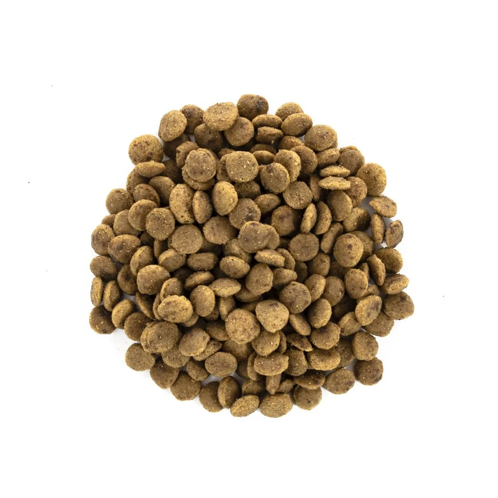 Корм сухий Brit Care Cat Grain Free Large Power Vitality для дорослих котів великих порід з качкою та куркою 7 кг — фото 2