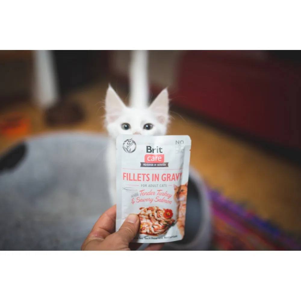 Корм вологий Brit Care Fillets in Gravy Tender Turkey & Savory Salmon для котів філе в соусі з індичкою та лососем 85 г — фото 3