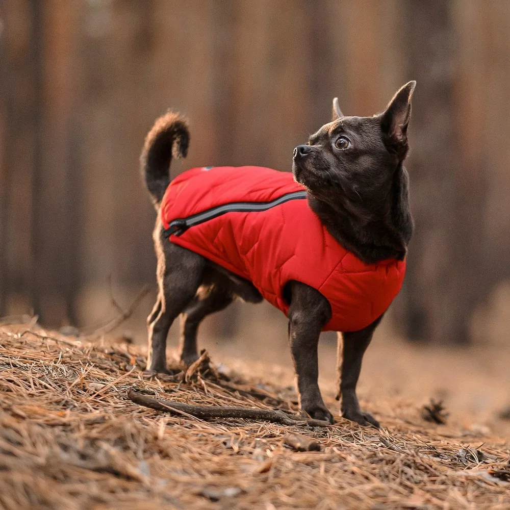 Жилет Pet Fashion E.Vest для собак червоний SМ — фото 3
