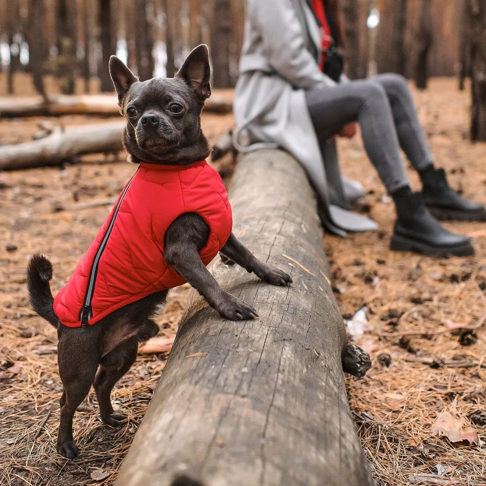 Жилет Pet Fashion E.Vest для собак червоний XS-2 — фото 4