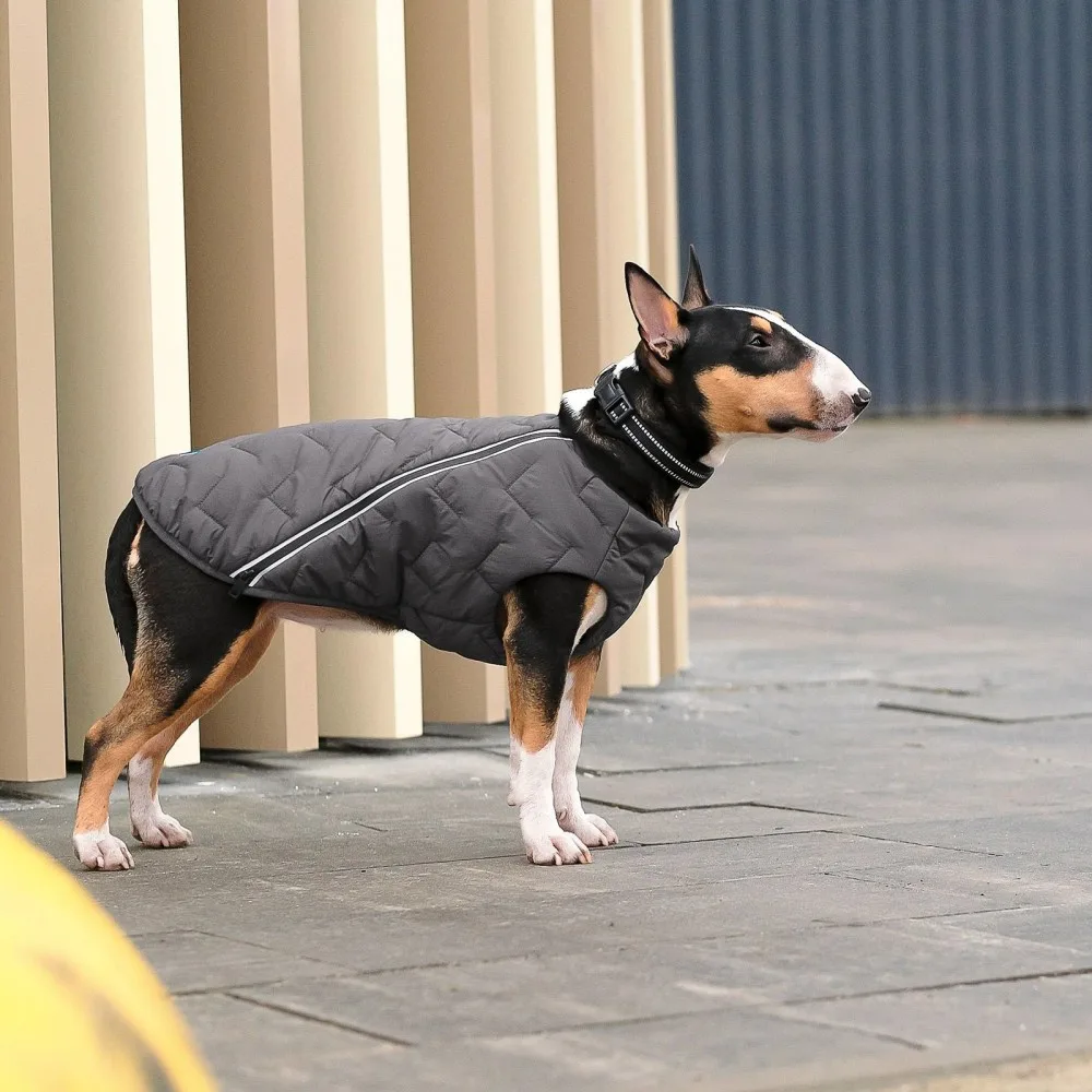 Жилет Pet Fashion E.Vest для собак сірий SМ — фото 3