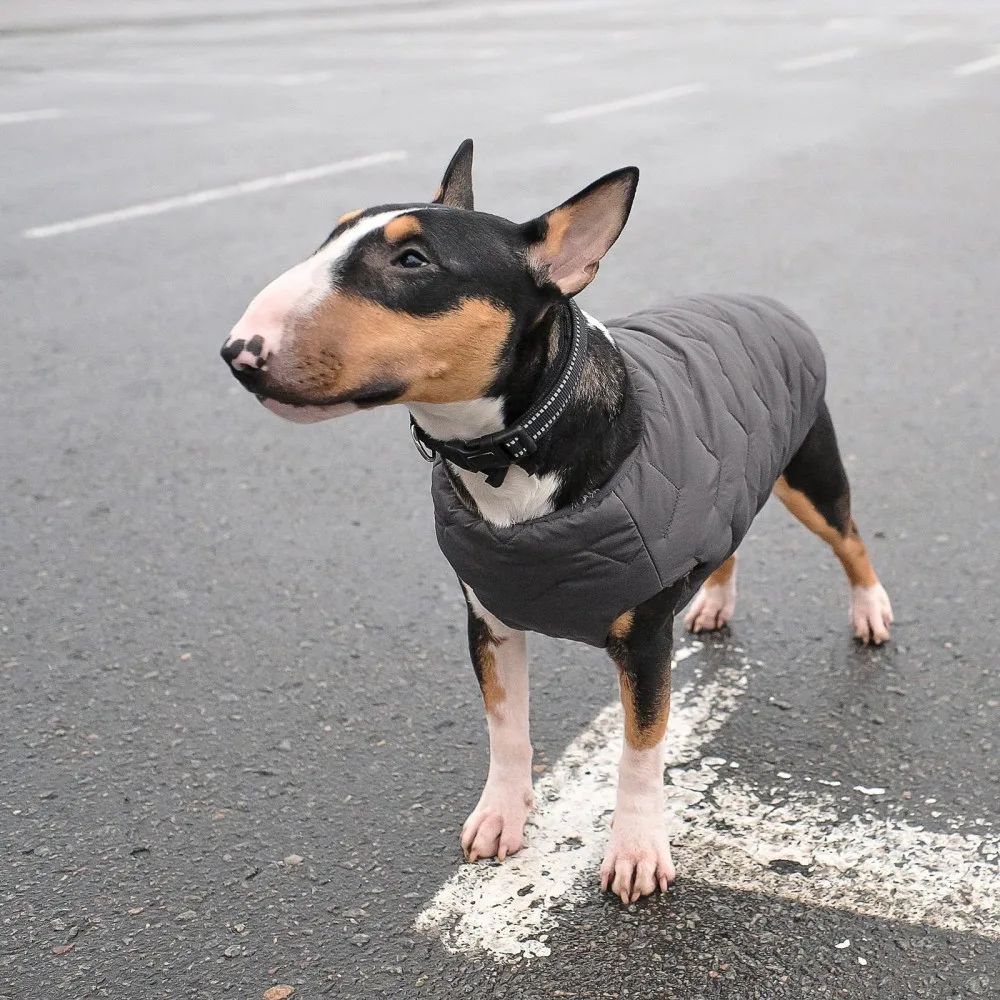 Жилет Pet Fashion E.Vest для собак сірий SМ — фото 4