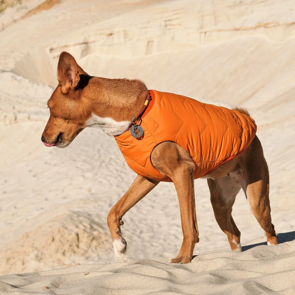 Жилет Pet Fashion E.Vest для собак помаранчевий XL — фото 3