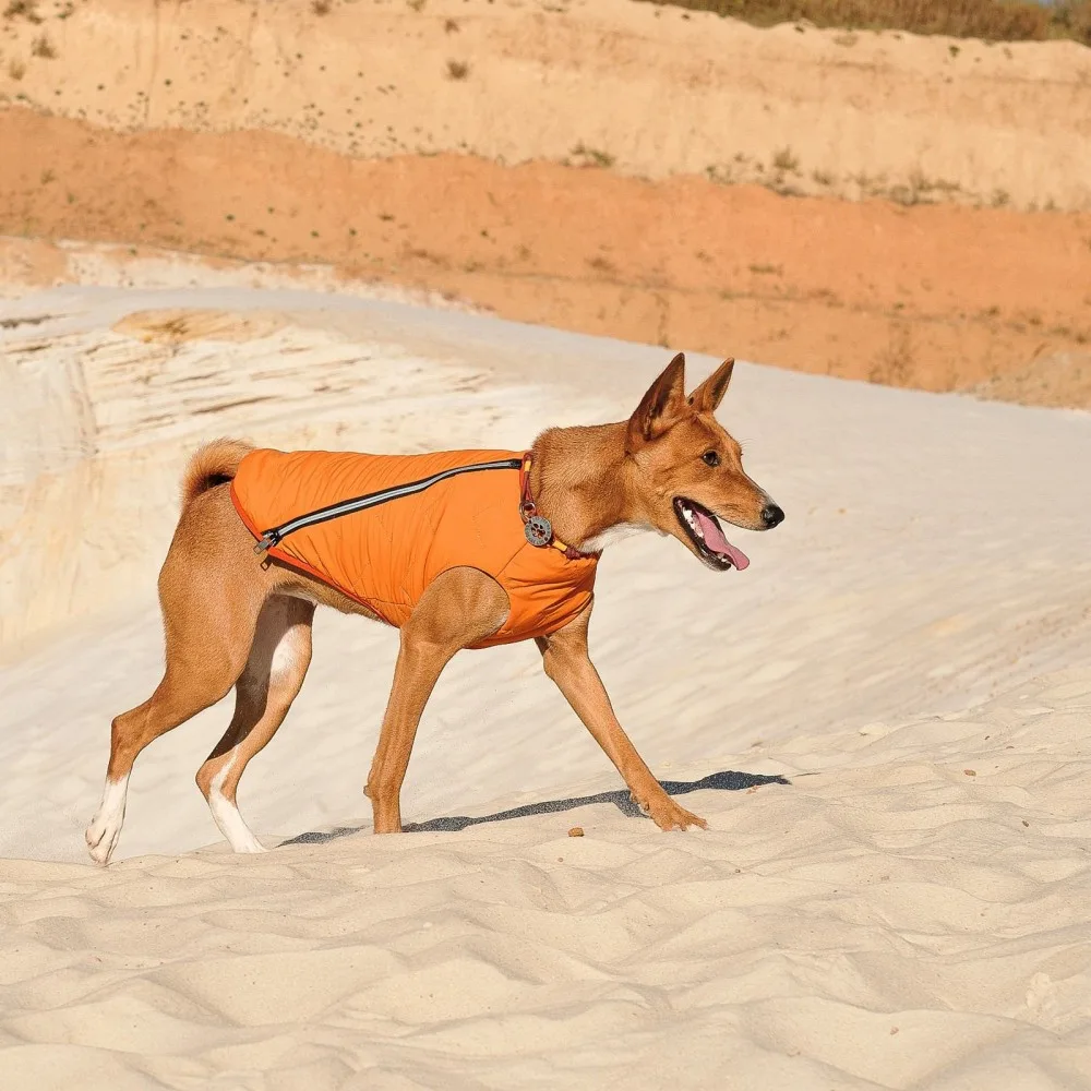 Жилет Pet Fashion E.Vest для собак помаранчевий XL — фото 4