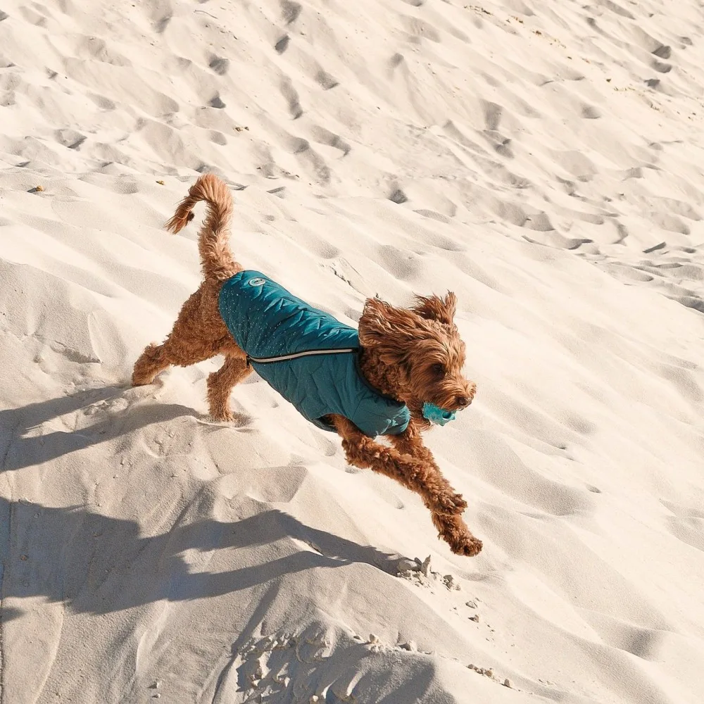 Жилет Pet Fashion E.Vest для собак морська хвиля XL — фото 4