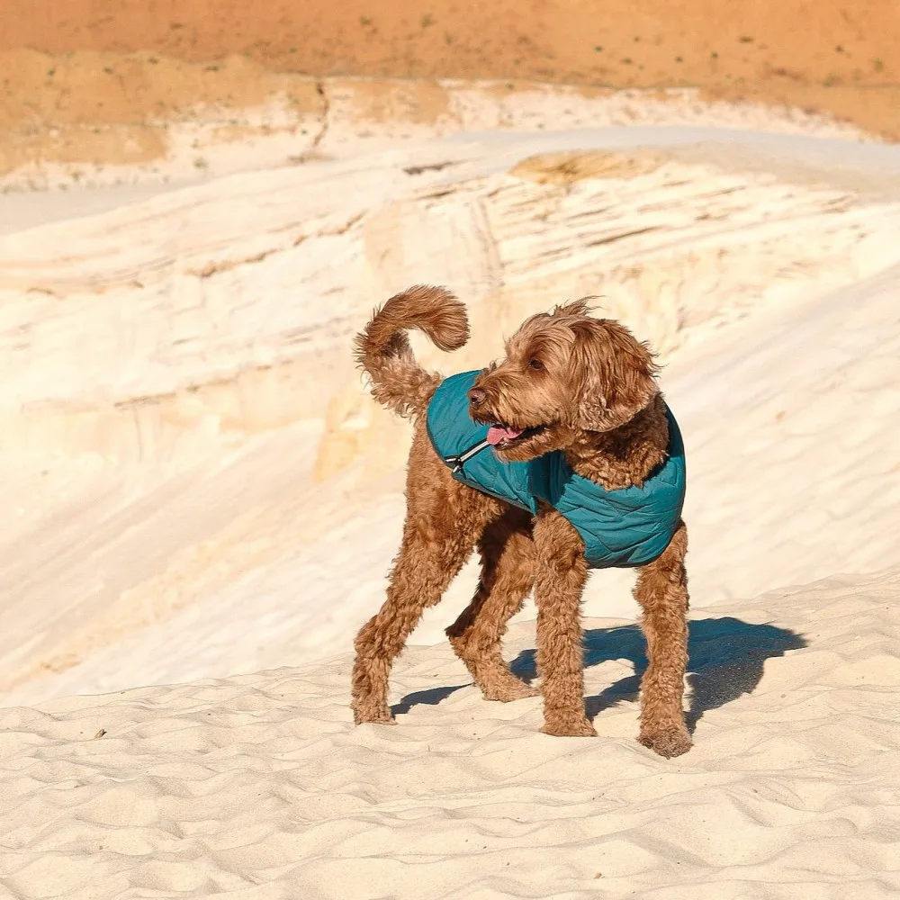 Жилет Pet Fashion E.Vest для собак морська хвиля XS — фото 3