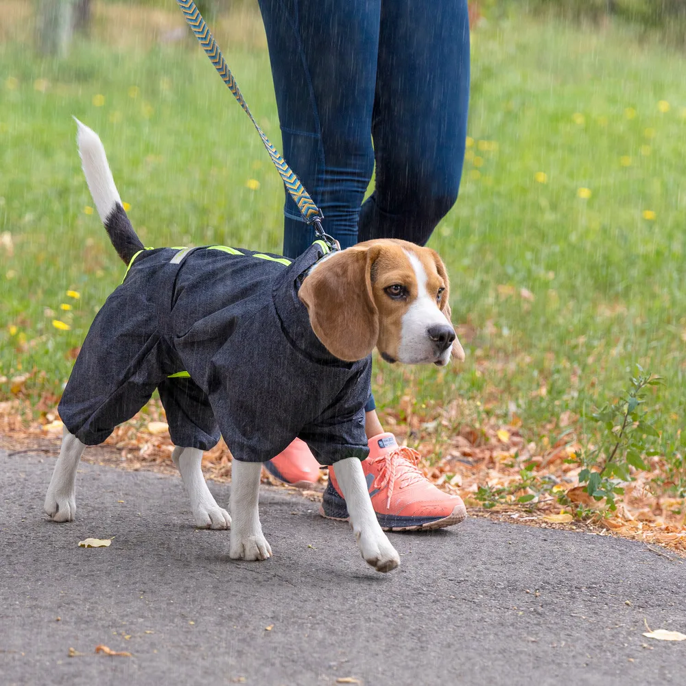 Комбінезон Pet Fashion Rain для собак сірий XS — фото 4