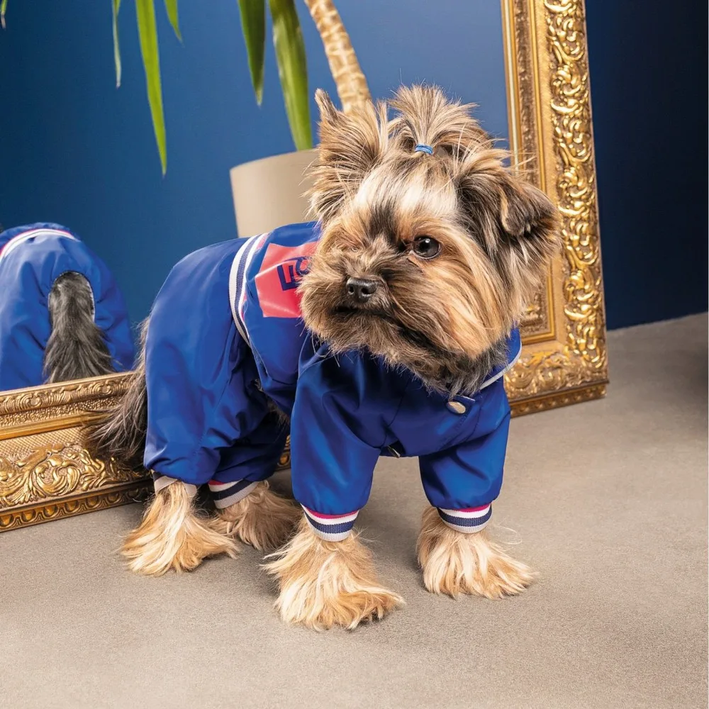 Дощовик Pet Fashion Silver для собак XS — фото 3
