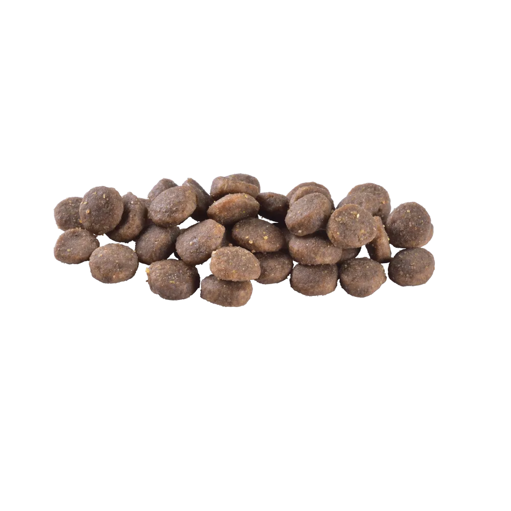 Корм сухий Brit Care Dog Grain-free Puppy для цуценят беззерновий з лососем 12 кг — фото 2
