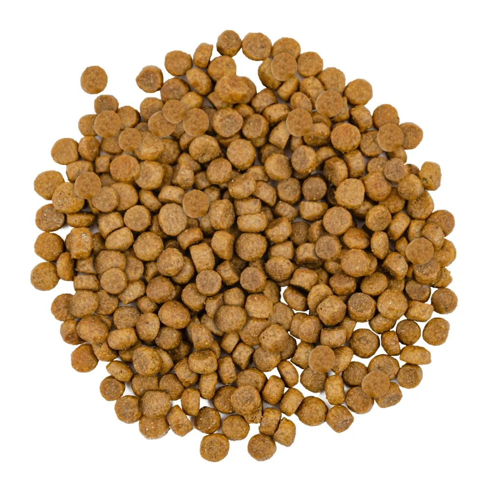 Корм сухий Savory Adult Cat Gourmand Fresh Salmon & White Fish для дорослих котів зі свіжим лососем і білою рибою 400 г — фото 2