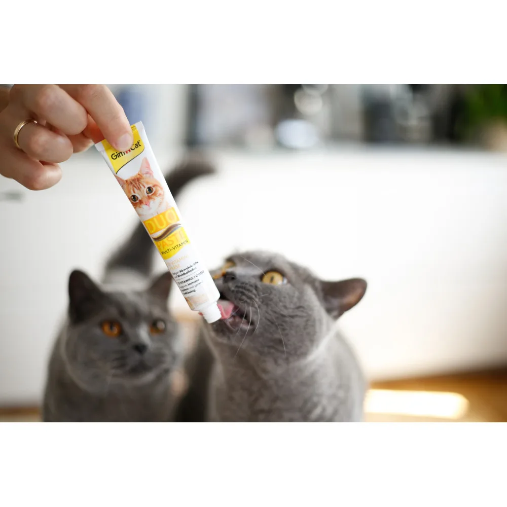 Паста GimCat DUO PASTE Multi-vitamin 12 vitamins with cheese для котів усіх порід 12 вітамінів та сир 50 г — фото 4