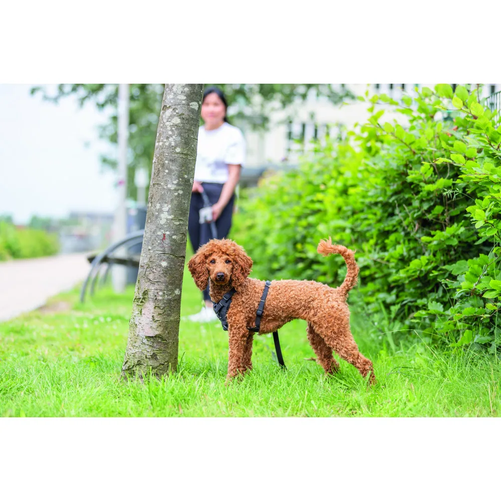 Шлея Trixie CityStyle H-harness для собак бавовна L–XL 75–120 см 25 мм чорна — фото 3