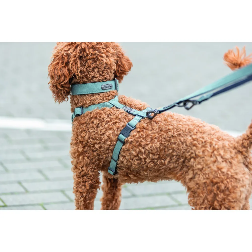 Шлея Trixie CityStyle H-harness для собак бавовна L–XL 75–120 см 25 мм світло-зелена — фото 3