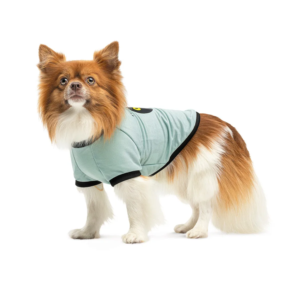 Футболка Pet Fashion Oscar для собак бавовна трикотаж рібана блакитна XS — фото 2