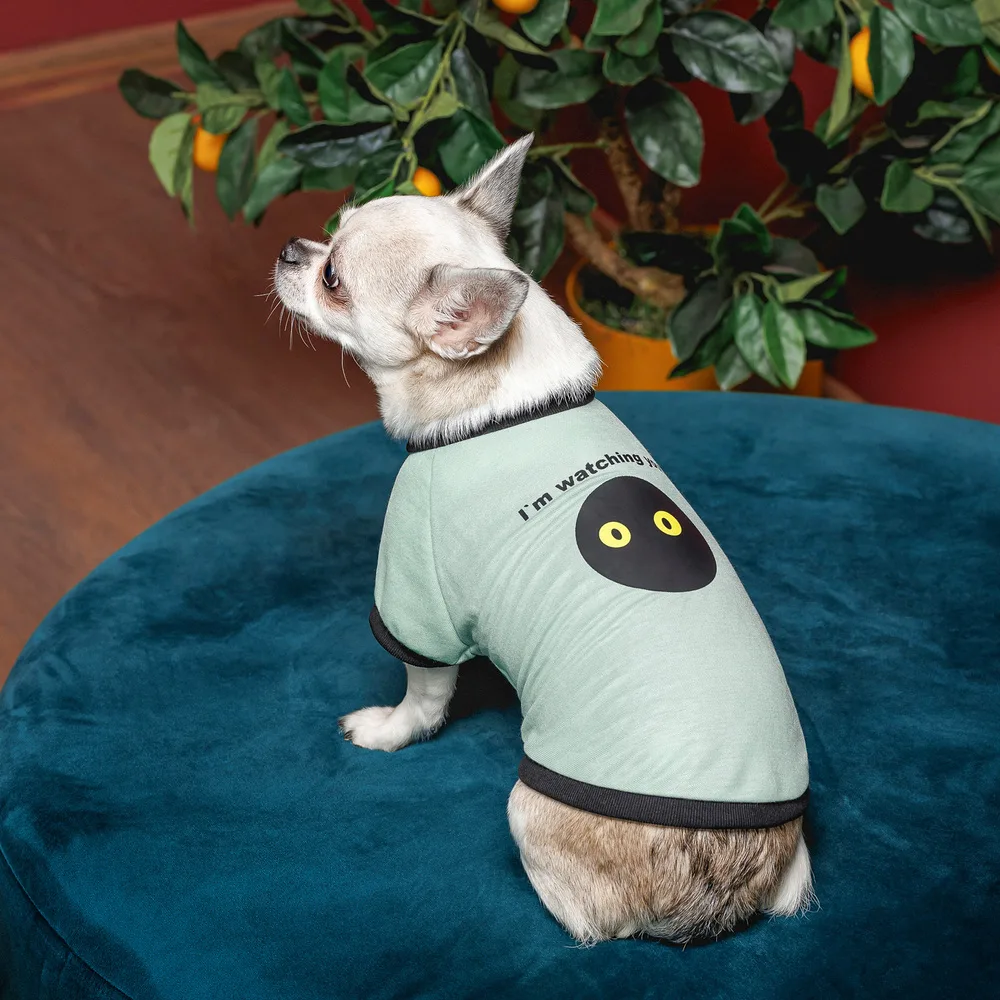 Футболка Pet Fashion Oscar для собак бавовна трикотаж рібана блакитна S — фото 4