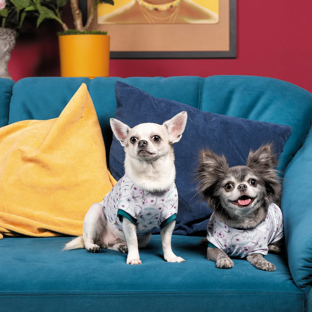 Футболка Pet Fashion Flora для собак бавовна трикотаж білий з квітковим принтом L — фото 4