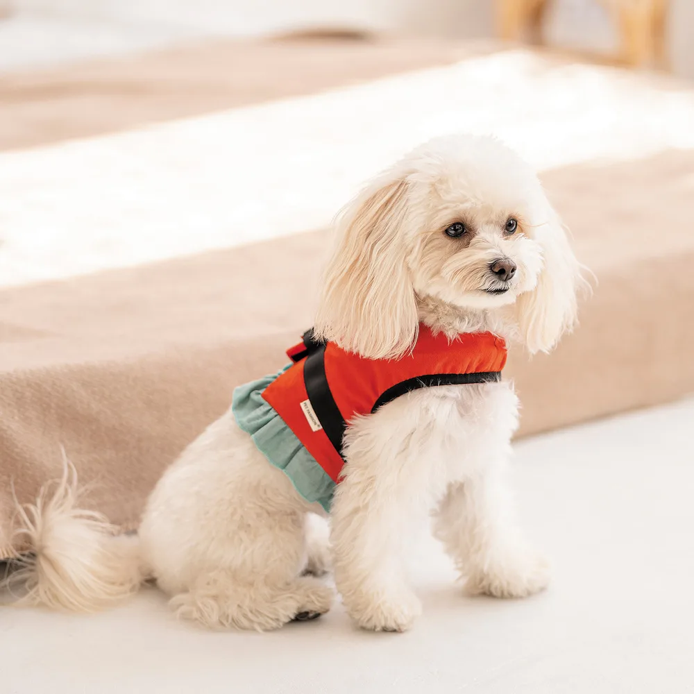 Шлея Monika ТМ Pet Fashion для собак XS — фото 4