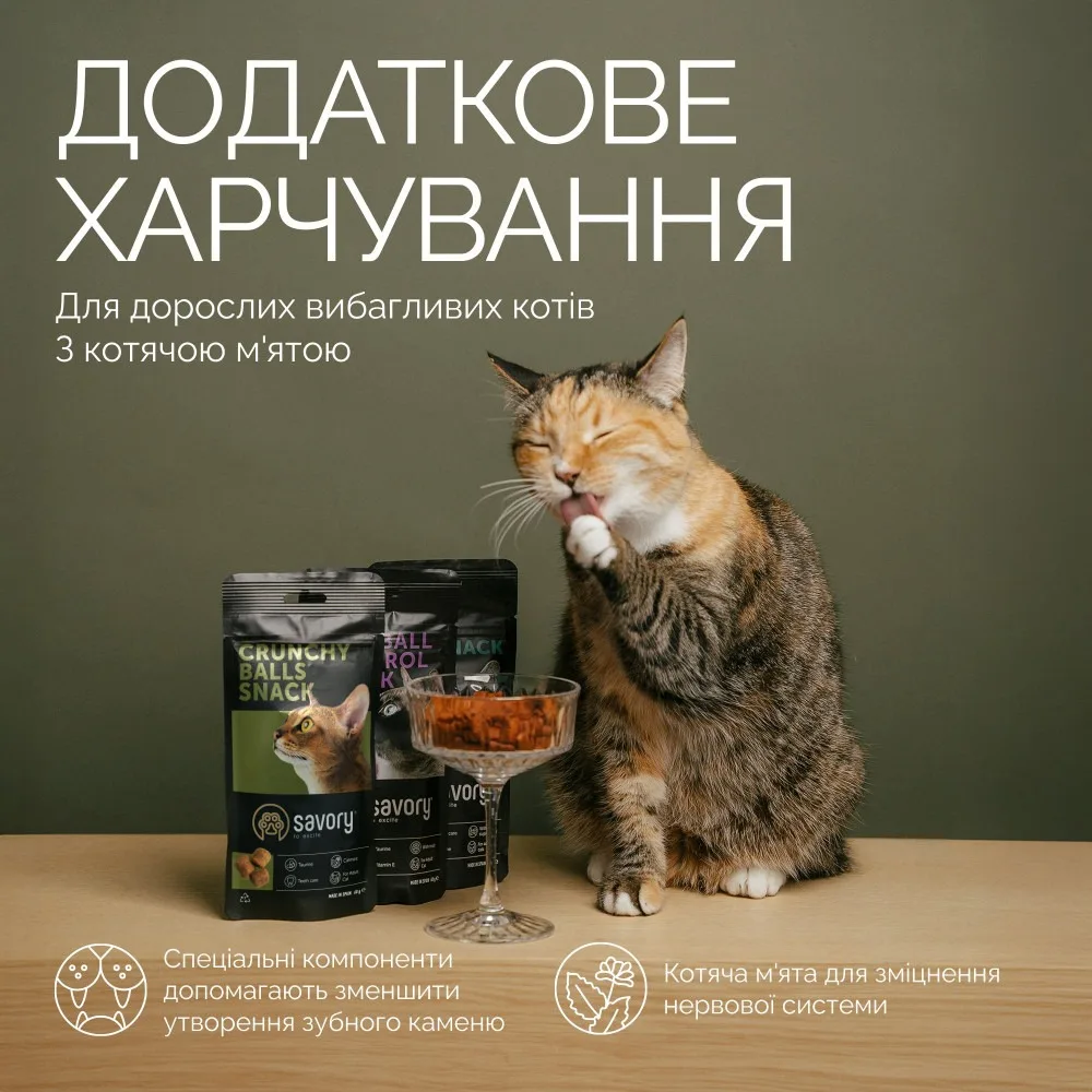 Хрумкі ласощі Savory Cats Snacks Crunchy Balls для дорослих вибагливих котів, кульки з котячою м’ятою, 60 г — фото 3