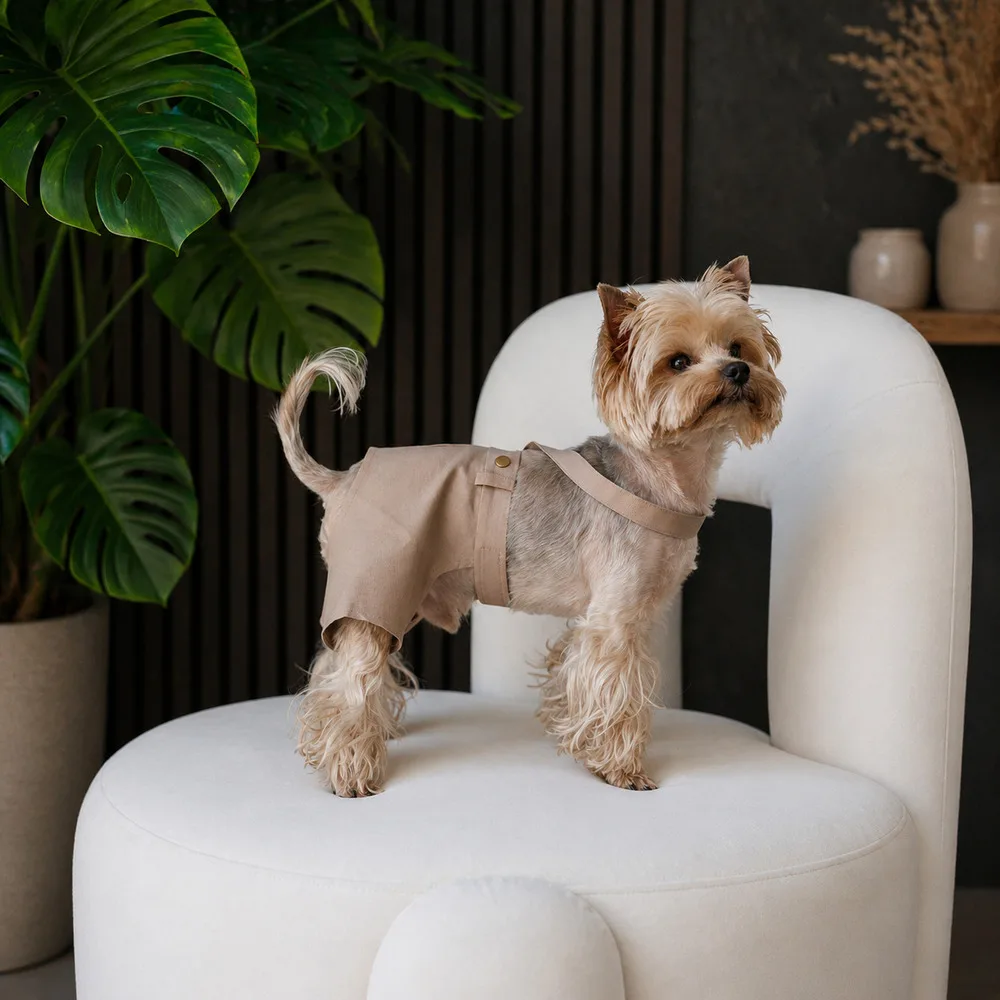 Шорти Pet Fashion Leo для собак XXS — фото 3