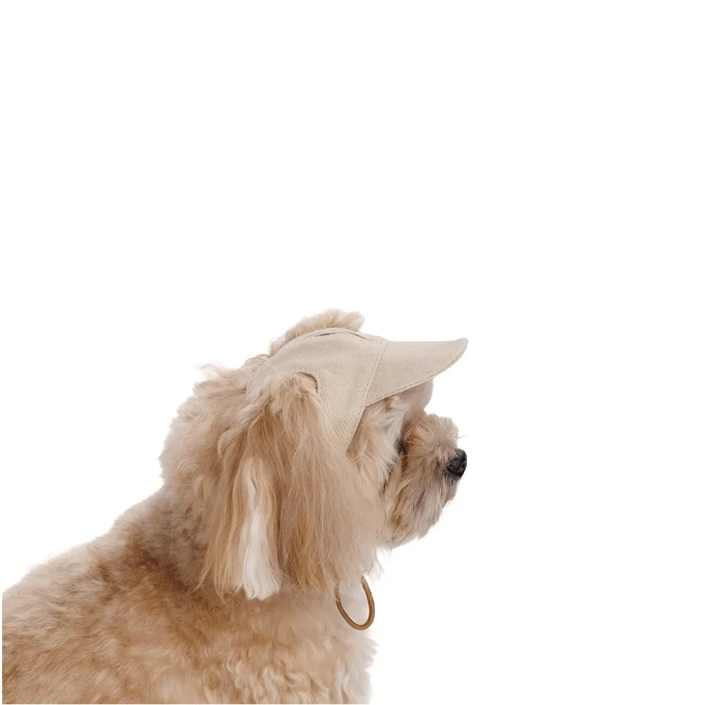 Кепка Pet Fashion Glamor для собак S — фото 2
