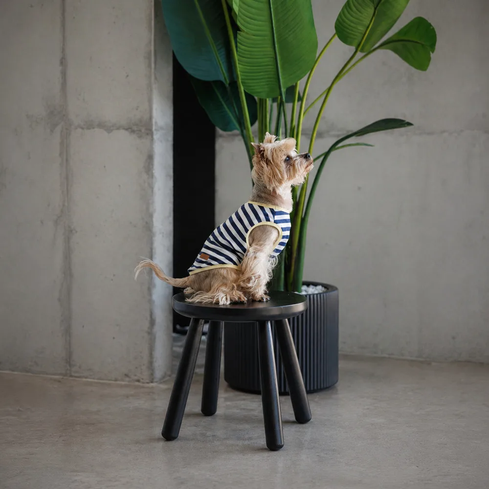 Майка Pet Fashion Tropic для собак XS2 — фото 3