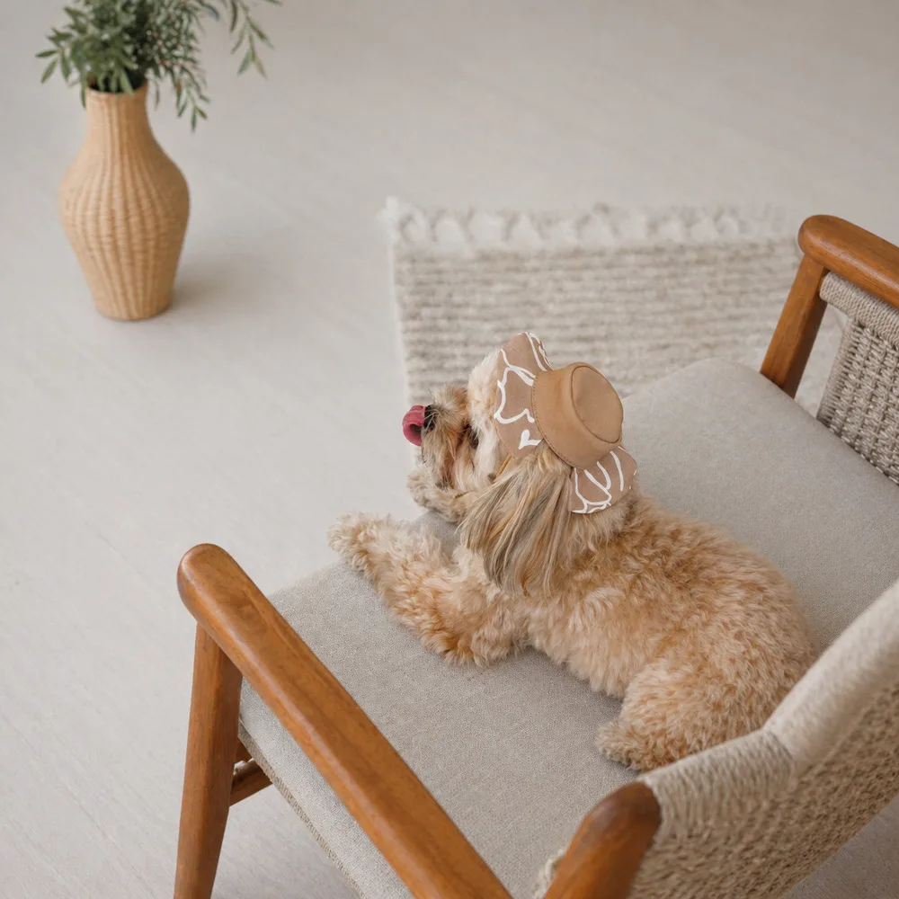 Панама Pet Fashion Print для собак L — фото 3