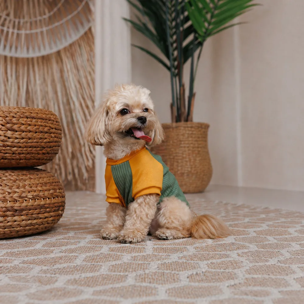 Футболка Pet Fashion Kent для собак XS — фото 3