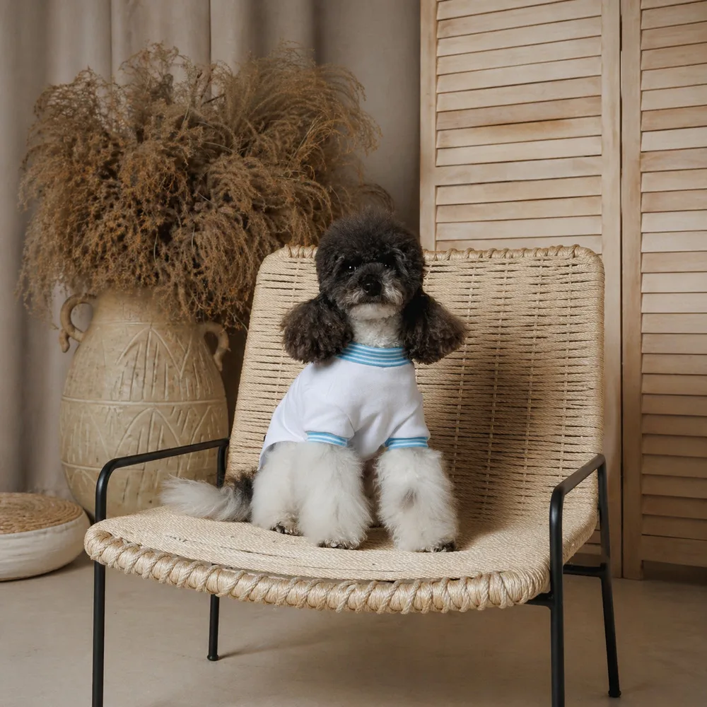 Футболка Pet Fashion Polo для собак XS — фото 3